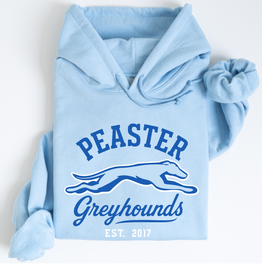 VINTAGE - UNISEX HOODIE (LIGHT BLUE)