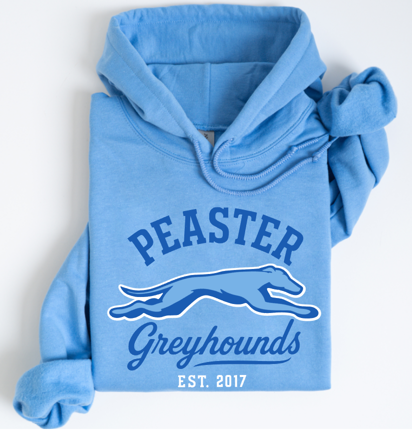 VINTAGE - UNISEX HOODIE (CAROLINA BLUE)