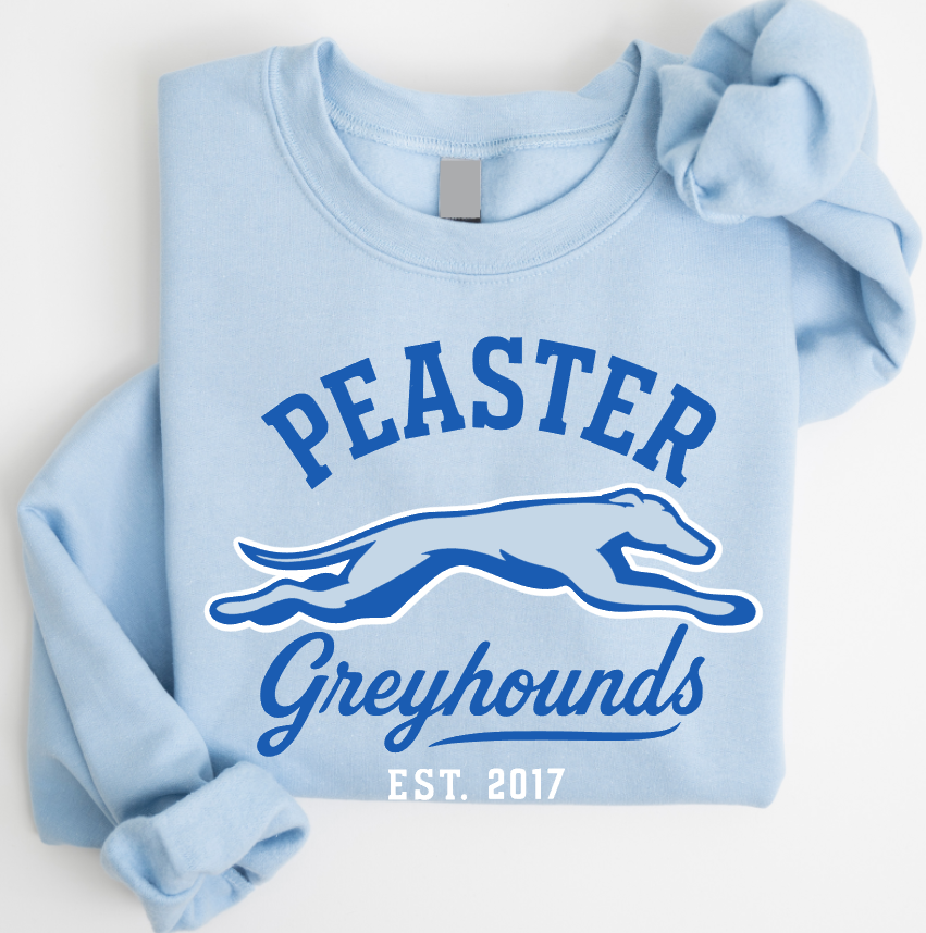 VINTAGE - UNISEX CREWNECK SWEATSHIRT (LIGHT BLUE)