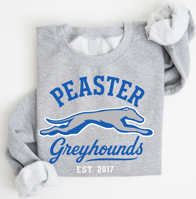 VINTAGE - UNISEX CREWNECK SWEATSHIRT (GREY)