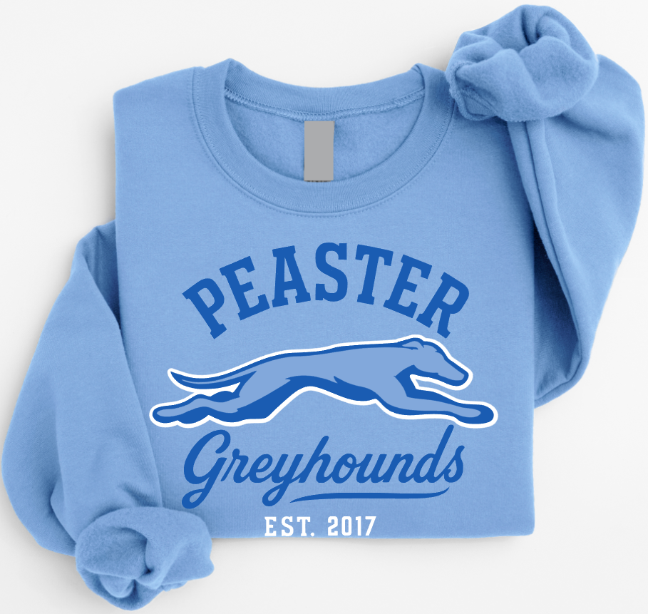 VINTAGE - UNISEX CREWNECK SWEATSHIRT (CAROLINA BLUE)