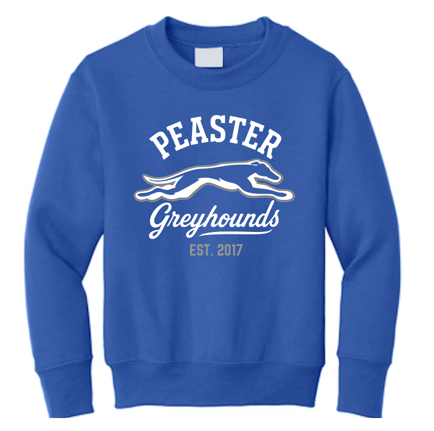 **YOUTH** VINTAGE - UNISEX CREWNECK SWEATSHIRT (GILDAN) ROYAL