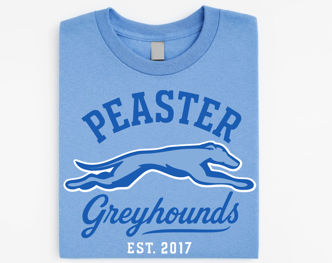 VINTAGE - UNISEX TEE (CAROLINA)