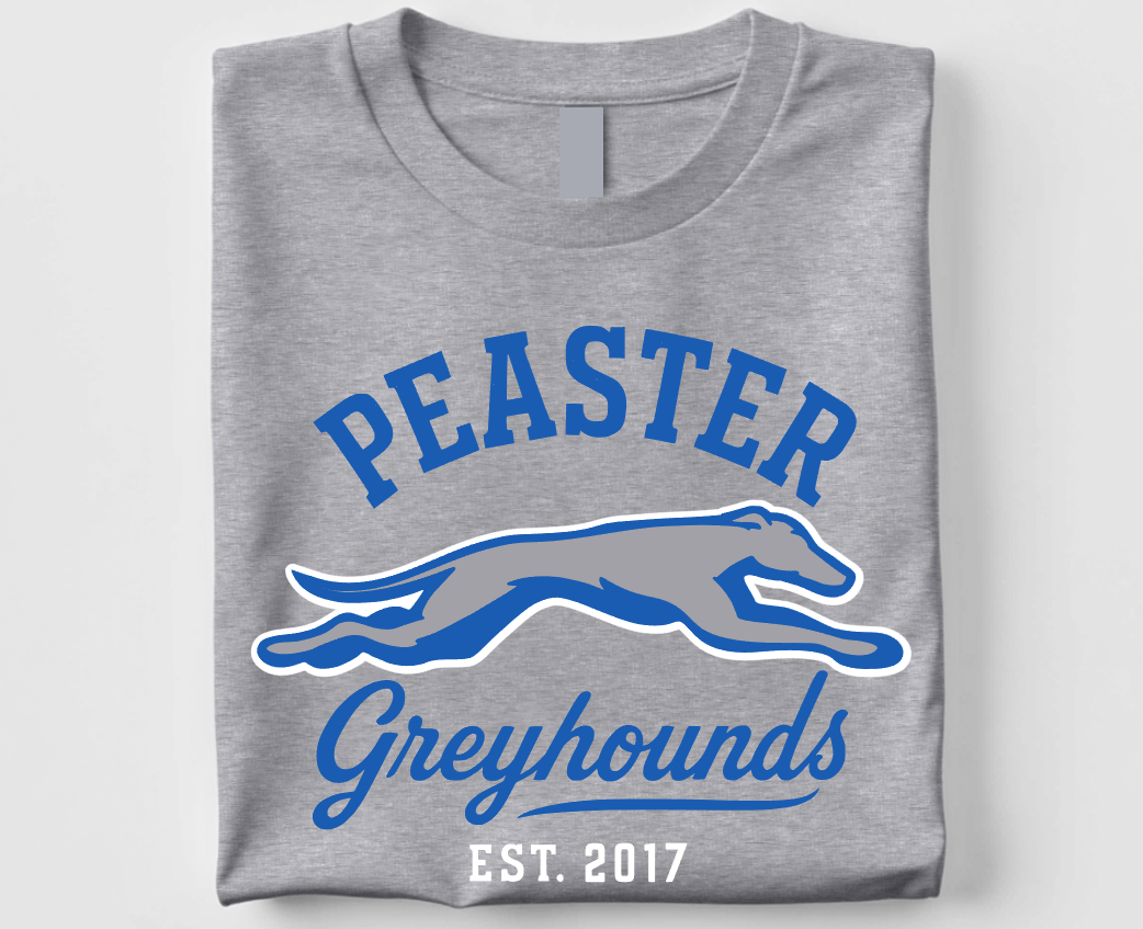 VINTAGE - UNISEX TEE (GREY)