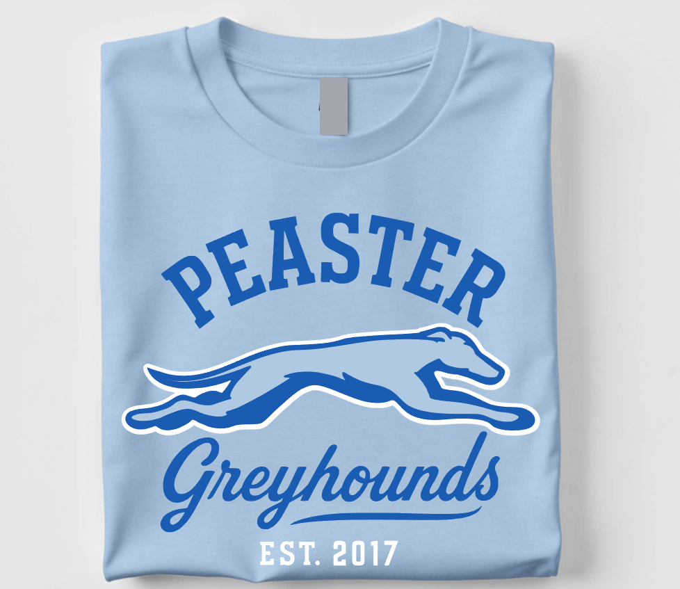 VINTAGE - UNISEX TEE (LIGHT BLUE)